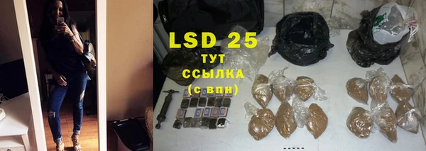 гидра Алексин