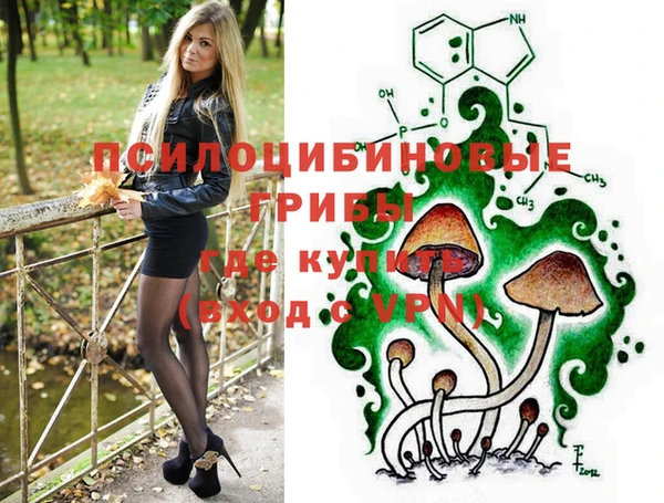 spice Надым